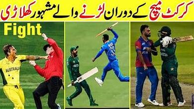 Photo of 6 Famous Cricketers Who Fought During Match | Amazing Info